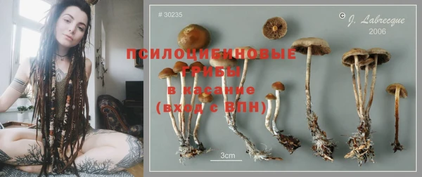 прущая мука Рославль