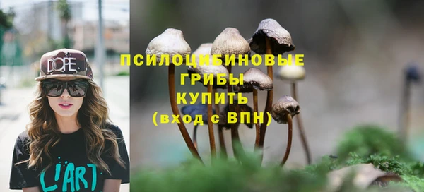 мескалин Вяземский