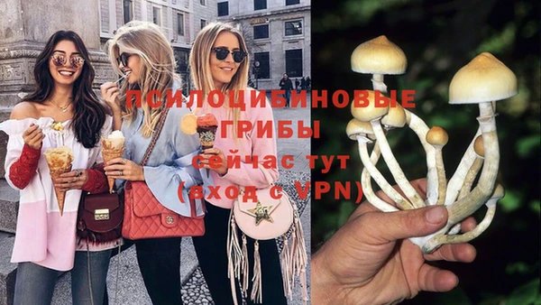 мескалин Вяземский