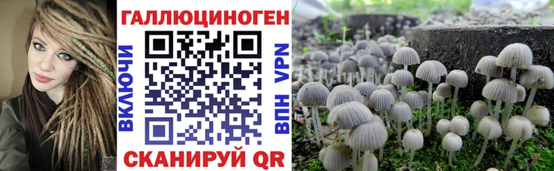 Псилоцибиновые грибы MAGIC MUSHROOMS  Пестово 